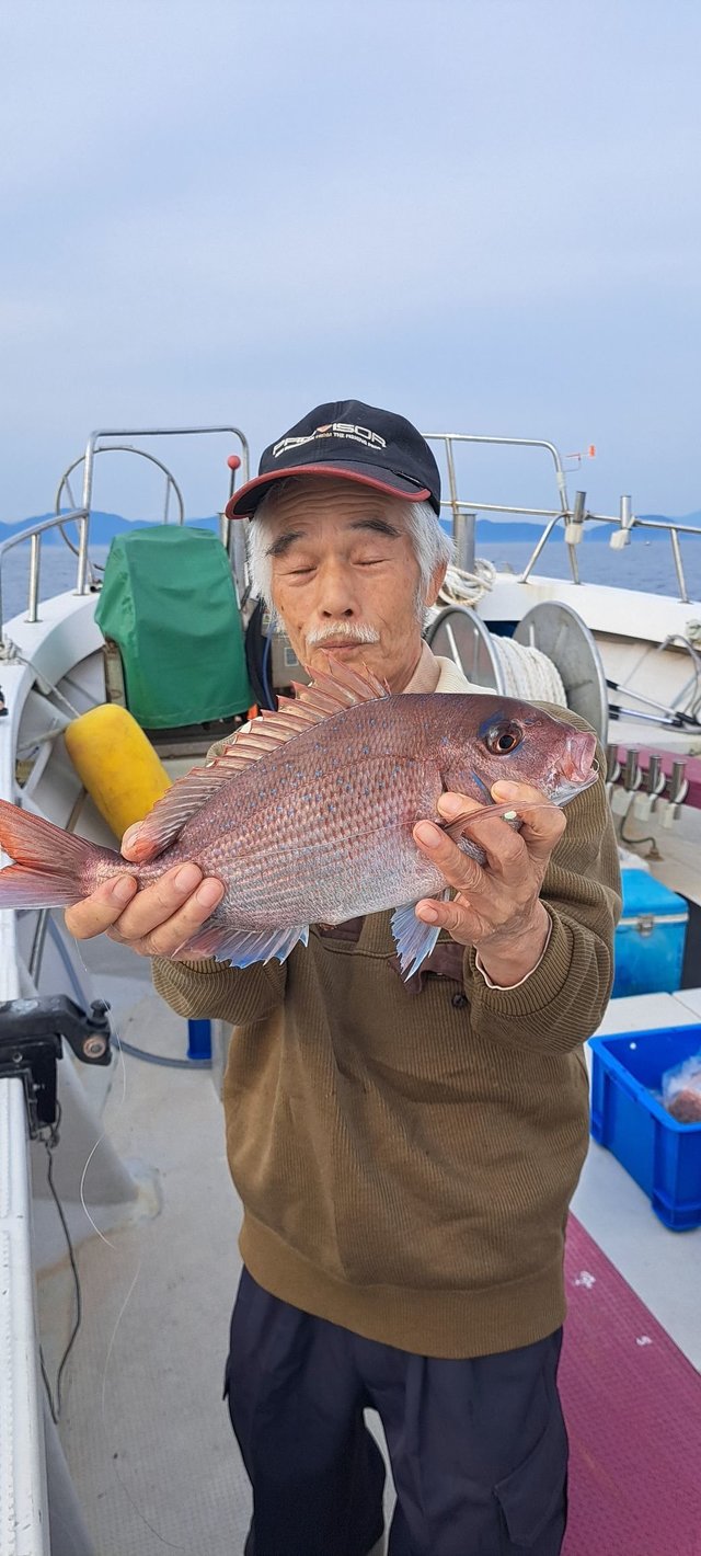 マダイ