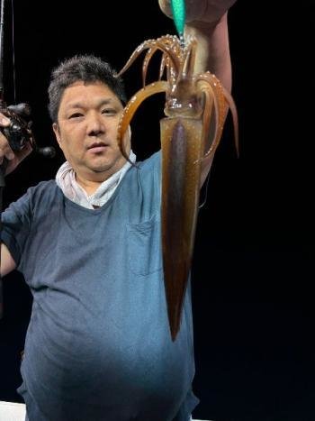 スルメイカ