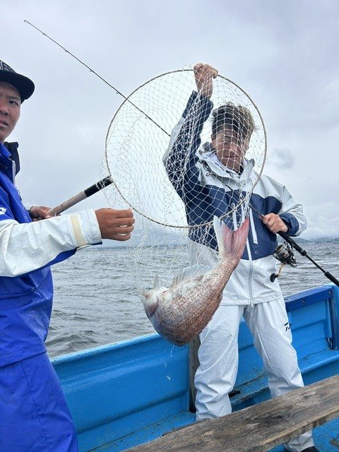 マダイ