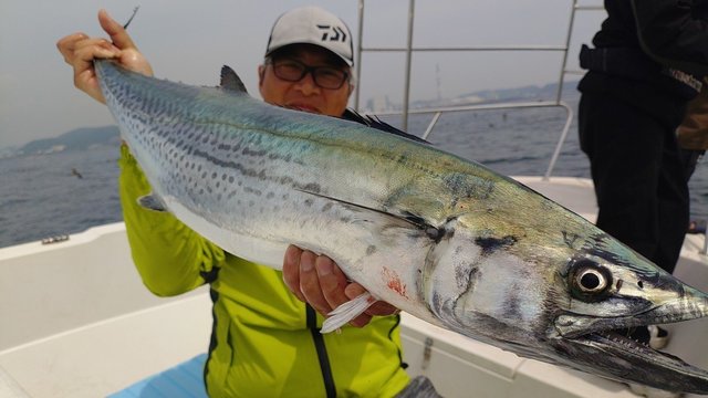 サワラ