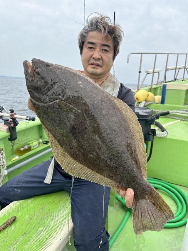 ヒラメ
