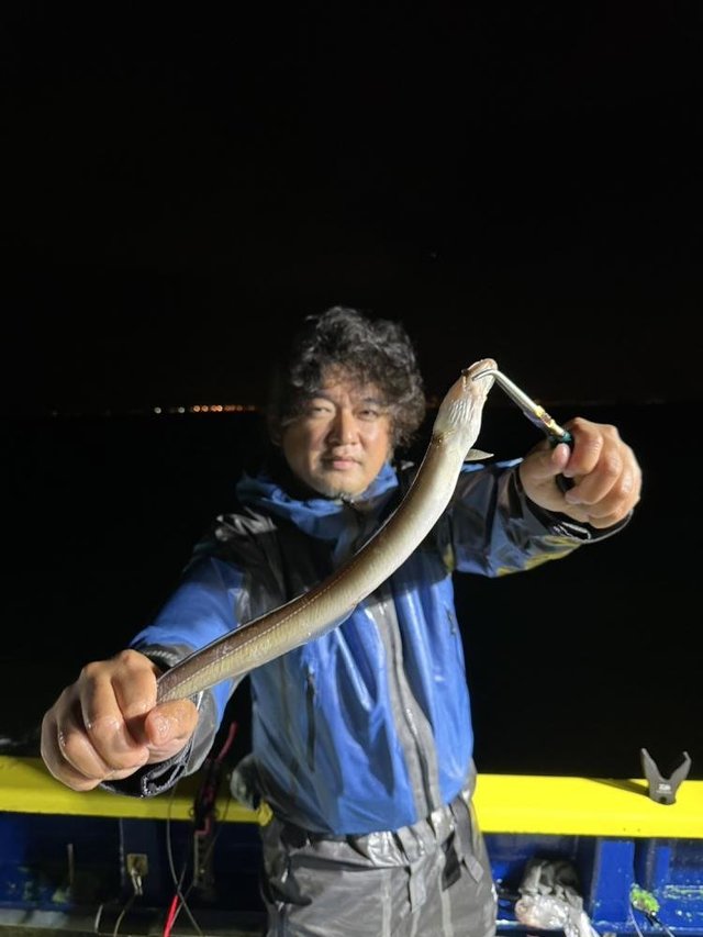 アナゴ(マアナゴ)