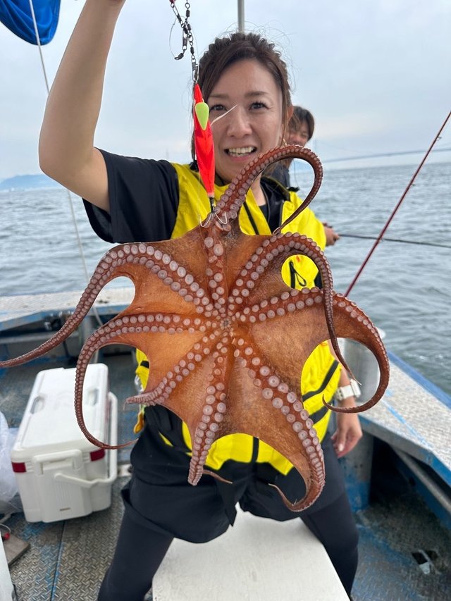 タコ(マダコ)