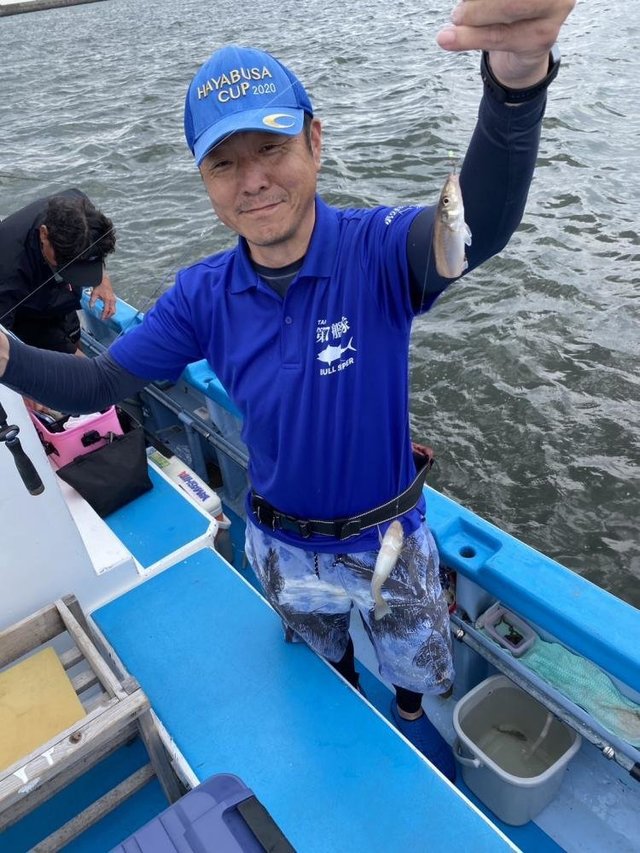 シロギス