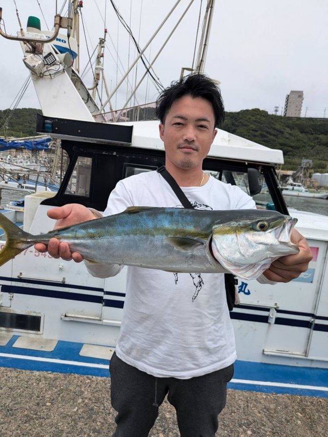 イナダ(ブリ)