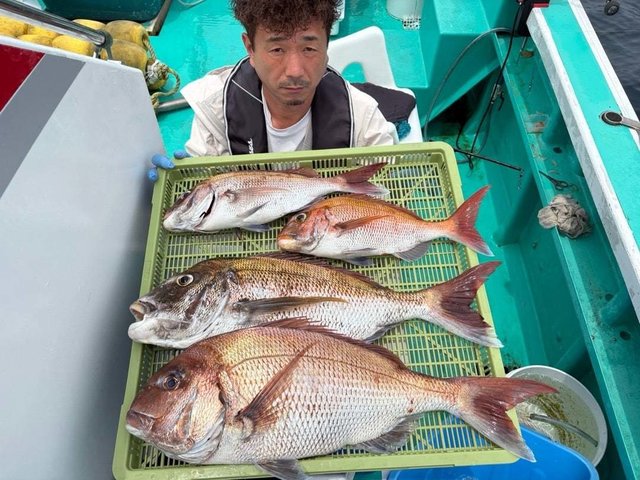 マダイ