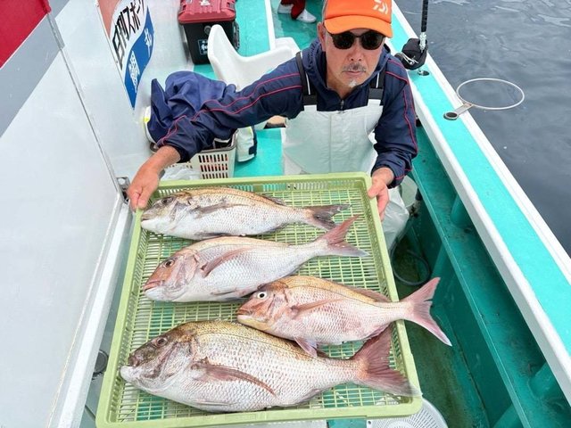 マダイ