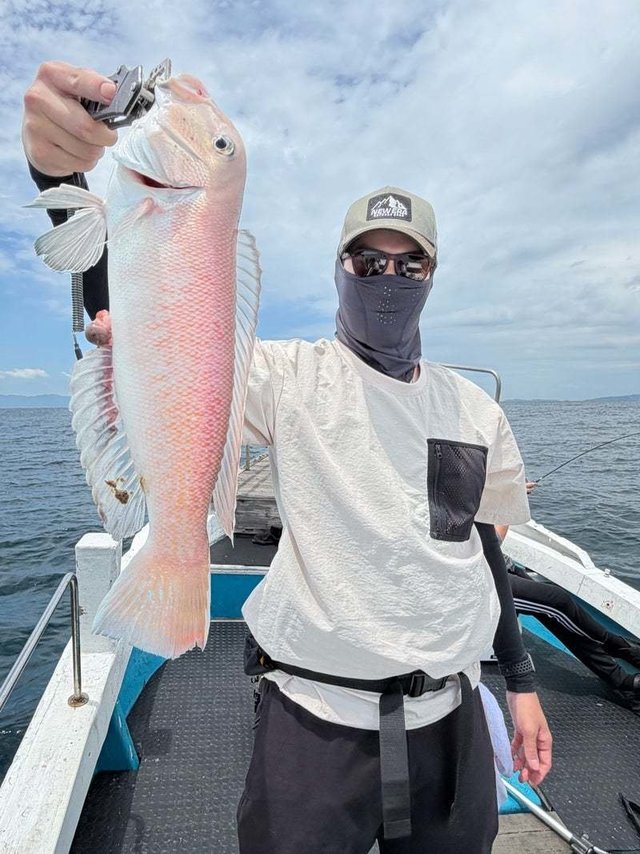 シロアマダイ