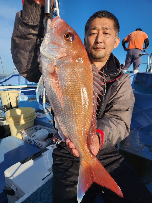 マダイ