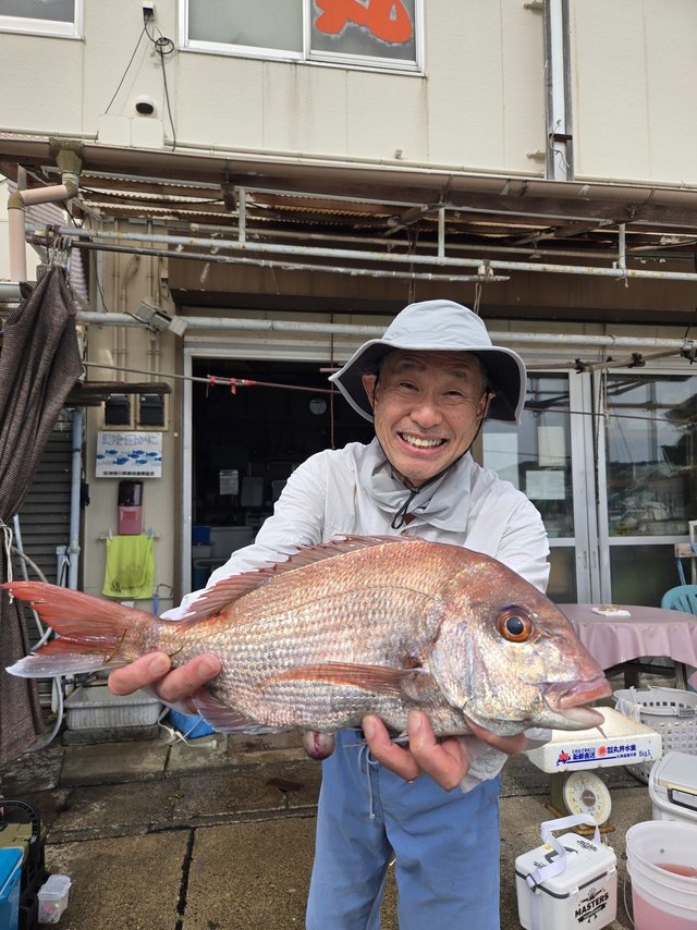 マダイ