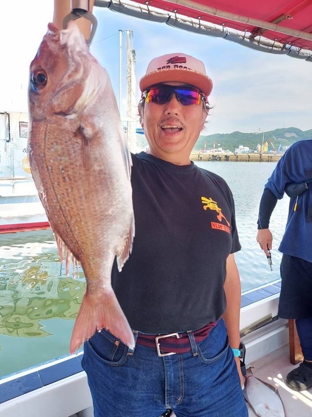 マダイ