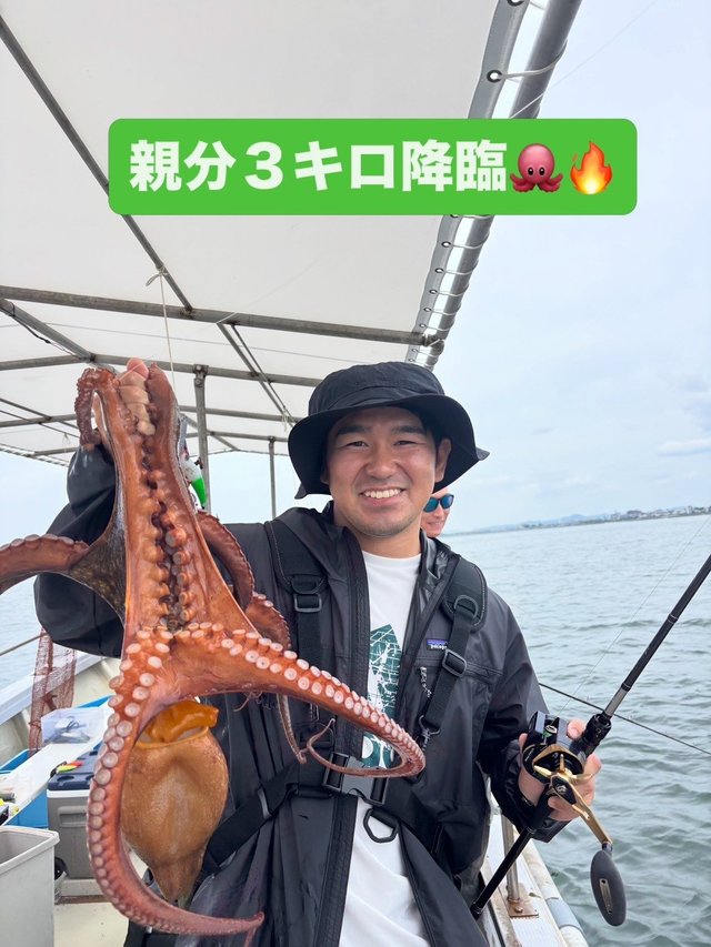 マダコ