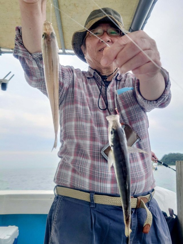 シロギス・アジ(マアジ)