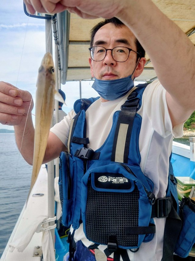 シロギス