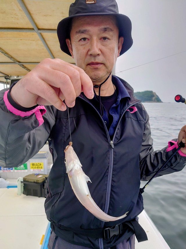 シロギス