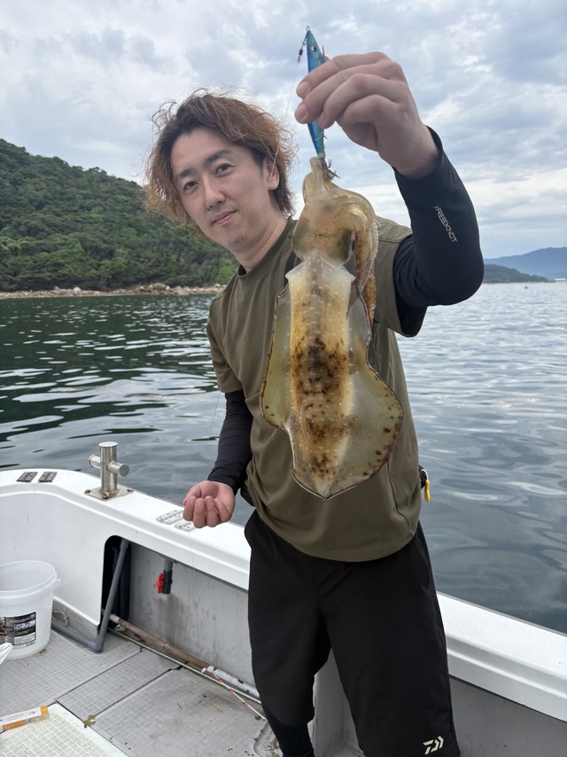 アオリイカ