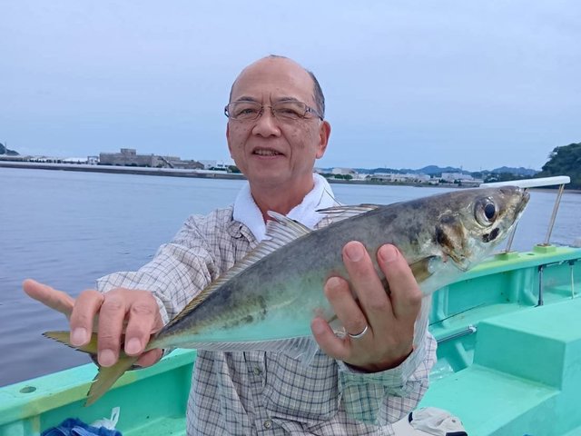 アジ(マアジ)