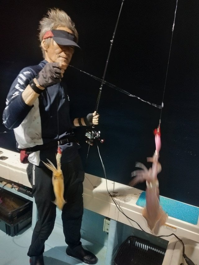 ヤリイカ