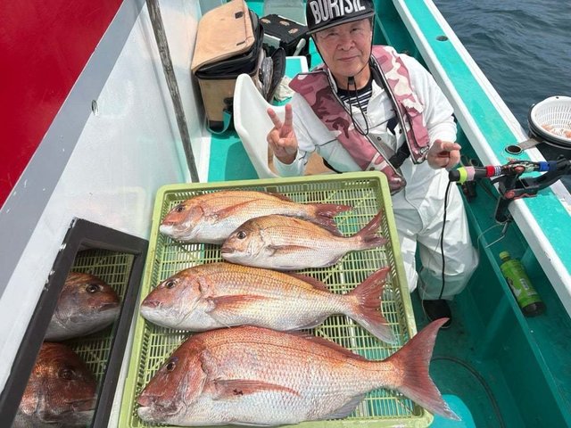 マダイ