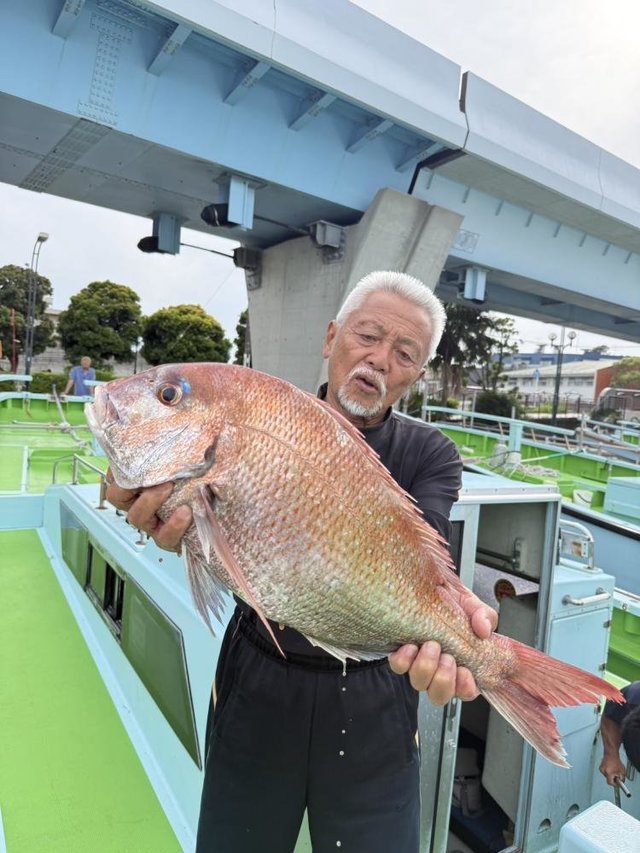 マダイ