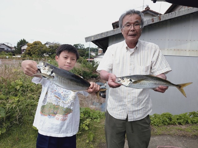 アジ(マアジ)