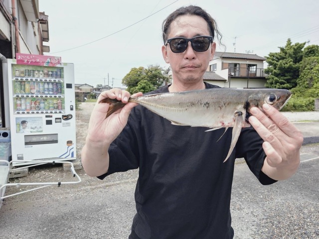 アジ(マアジ)