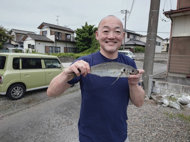 アジ(マアジ)