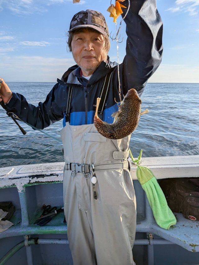 ショウサイフグ