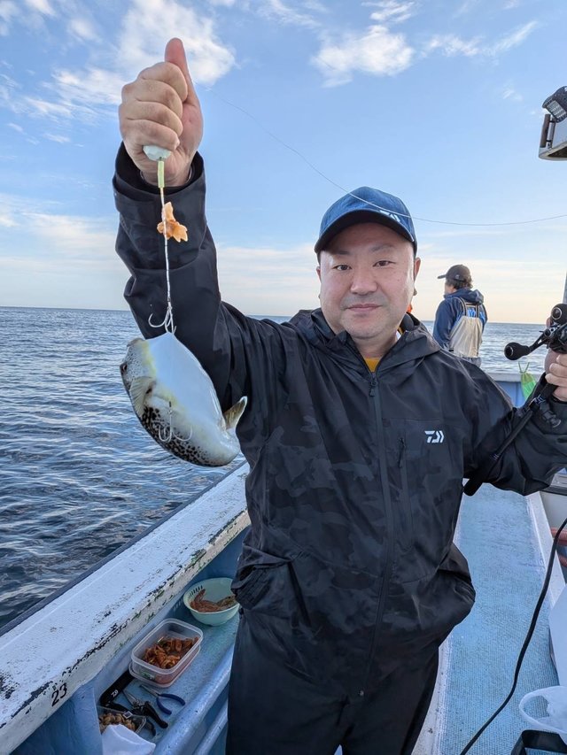ショウサイフグ