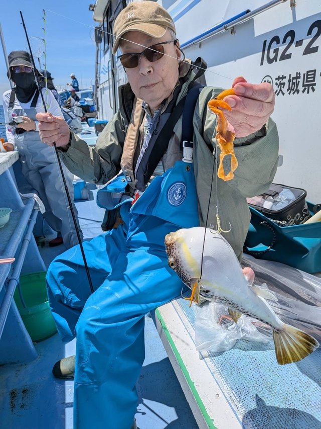 ショウサイフグ