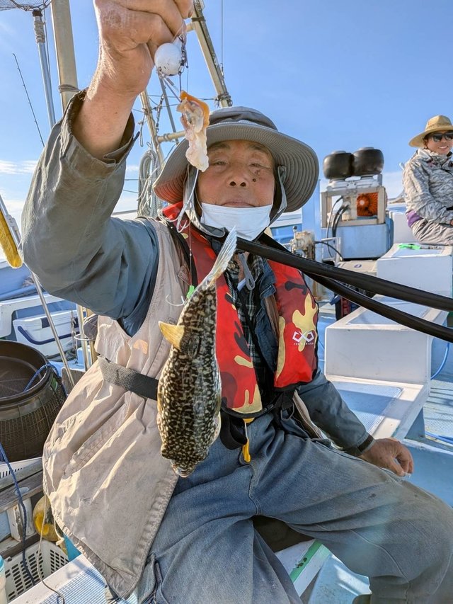 ショウサイフグ