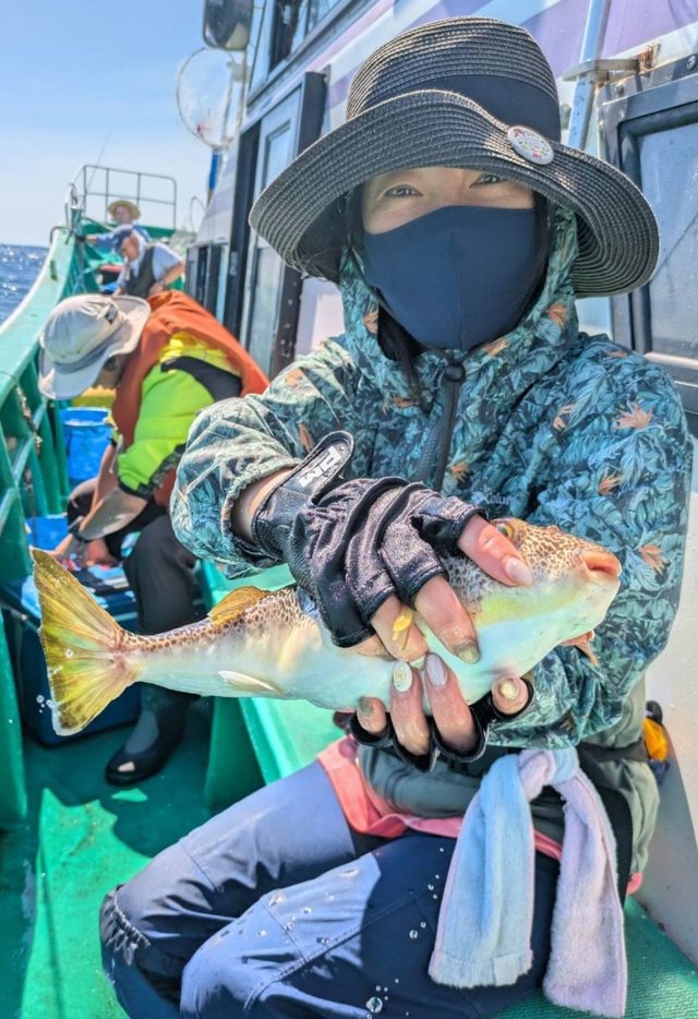 ショウサイフグ
