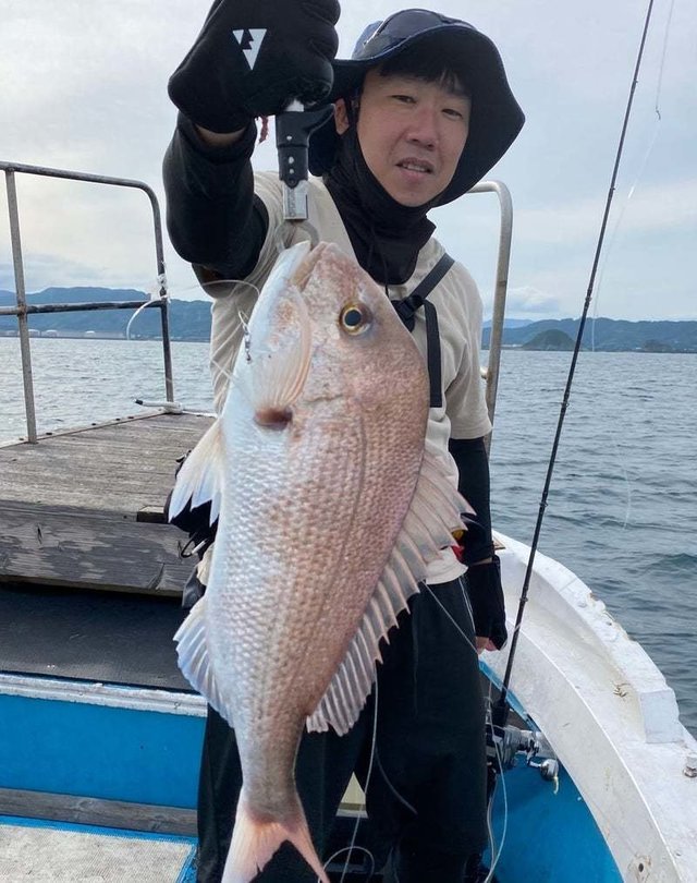 マダイ