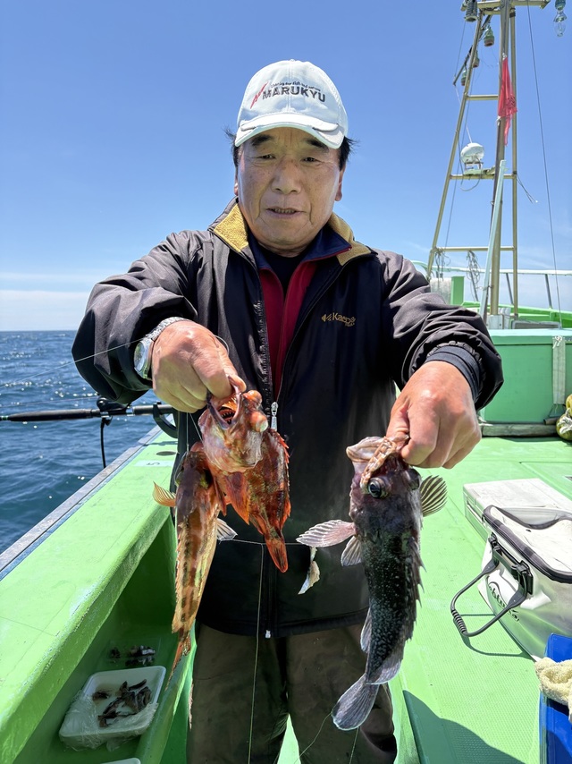 カサゴ
