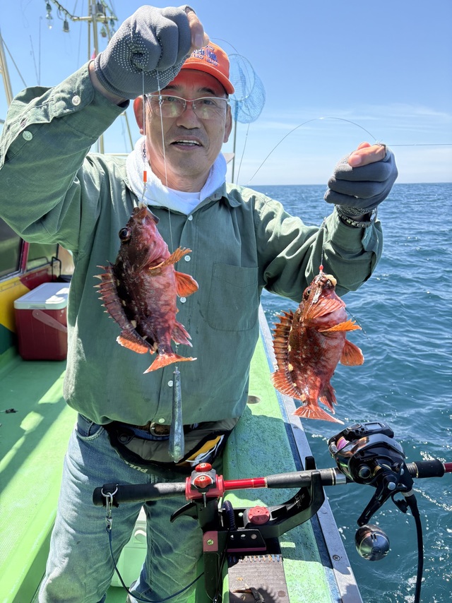 カサゴ