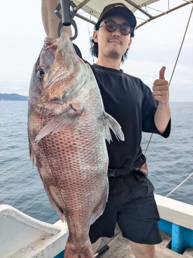 マダイ