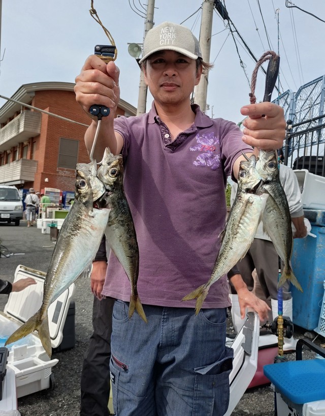 アジ(マアジ)