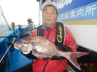 マダイ