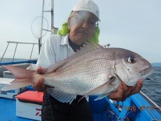 マダイ