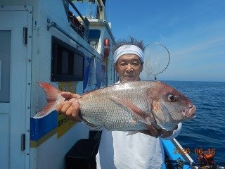 マダイ