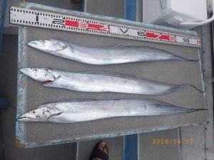 タチウオ