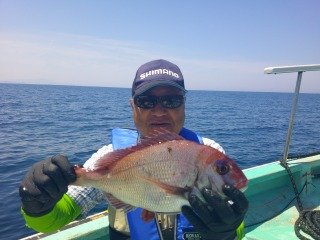 マダイ