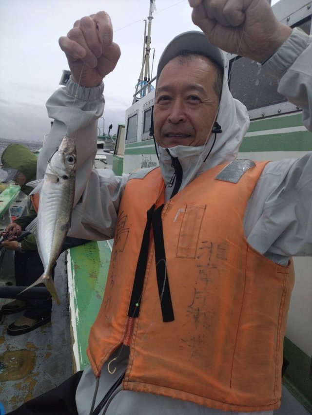 アジ(マアジ)