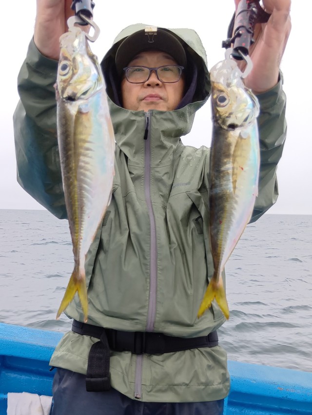 アジ(マアジ)