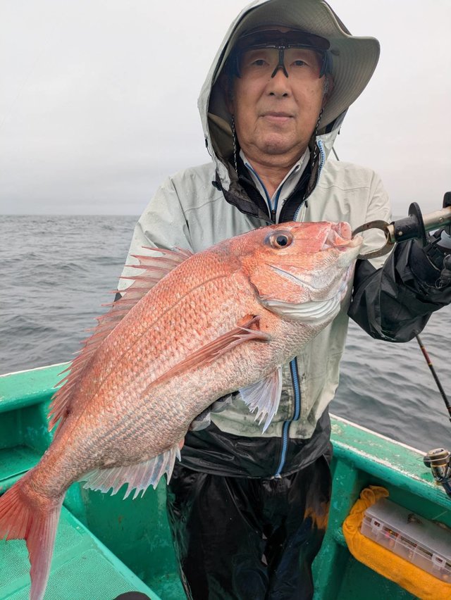 マダイ