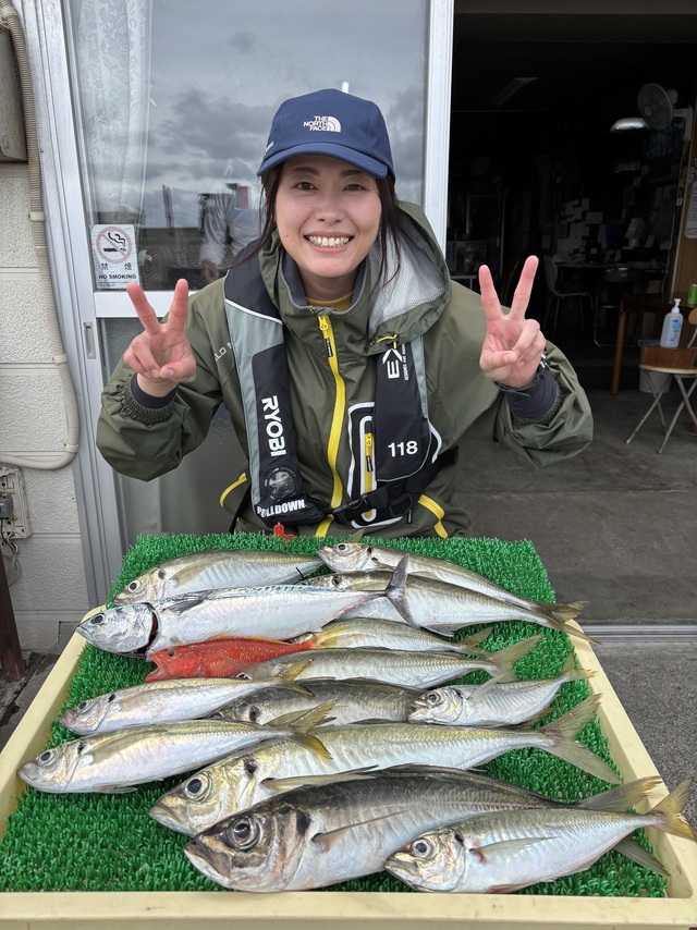 アジ(マアジ)