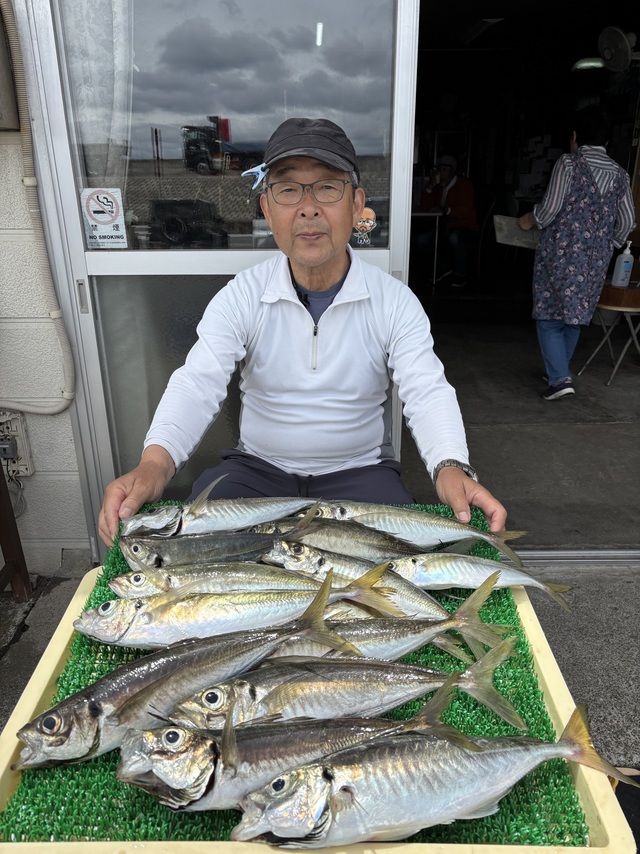 アジ(マアジ)