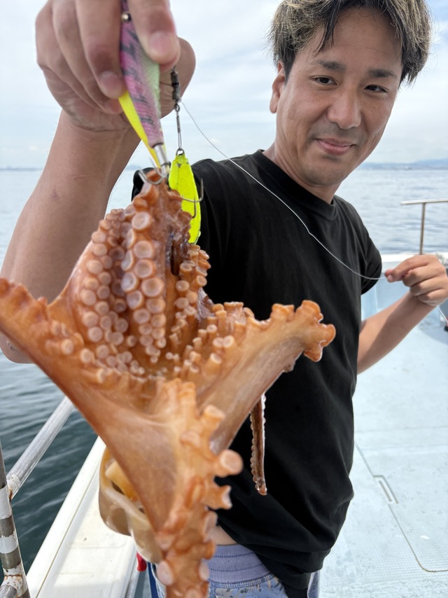 マダコ