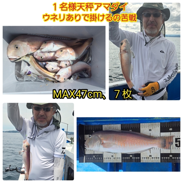 シロアマダイ
