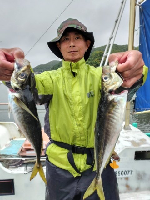 アジ(マアジ)